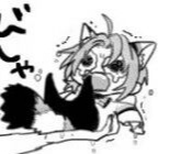 ねこいる