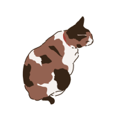 コカ