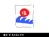 布製品