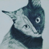 YUBI
