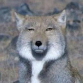 からちー