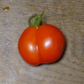 うさぎスウラ【二次創作中心】