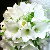 水月鏡花