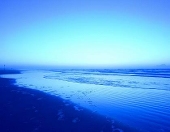 蒼