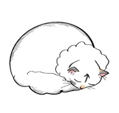 银白的狐狸