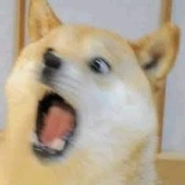 常陵粒子