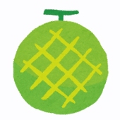 昨日のメロン