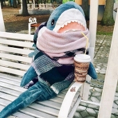 SaltedFish魚の塩漬け