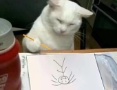 貓YOYO