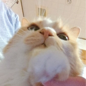 あるき