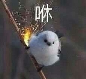堕落方舟之声