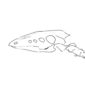 鸥