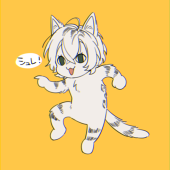 ちまこ