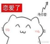 今天maya届到了吗