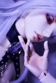 蝶詩
