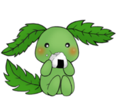 柑