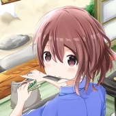 楓狐