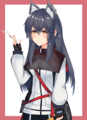 Araicat