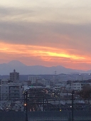 夜野