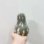 とみぃ