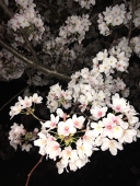 夜長