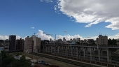 ハルハル