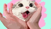 miaomimi