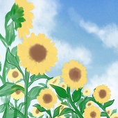 緋月