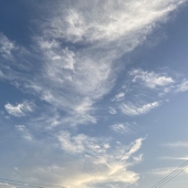 ルリ