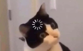 Teiya_01