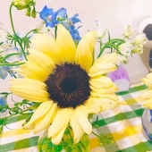 すみっこ