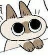 sell兔