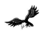 haruta