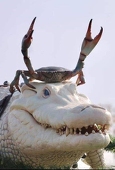 Peichialin