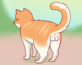 プルpurucatdot
