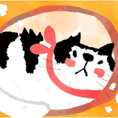 今日マトメ