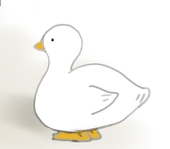 コメコ