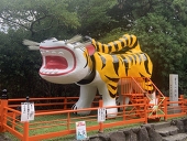 とらぴ