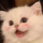 pika