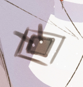 ﾐﾝﾖﾉ