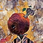 PLUTONIZMUZ