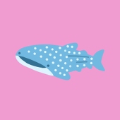 かる🐬