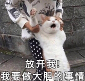 张海原