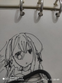 fanltook