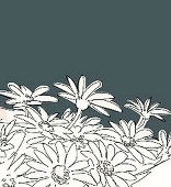 こっこ