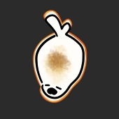 mochiあざらし