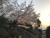 涼平