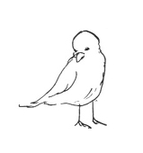 誉（翡翠）