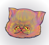 Lapupa