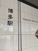 佐藤ありす